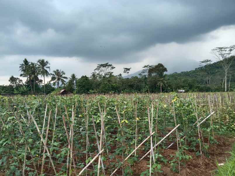 tanah strategis di jl raya cisalak subang jawa barat