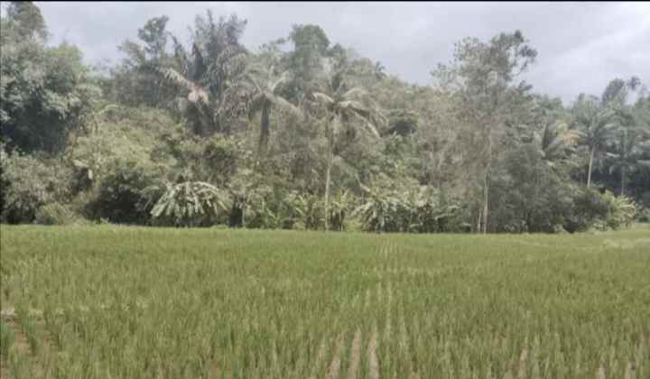 tanah sumber mata air panas saglaherang subang