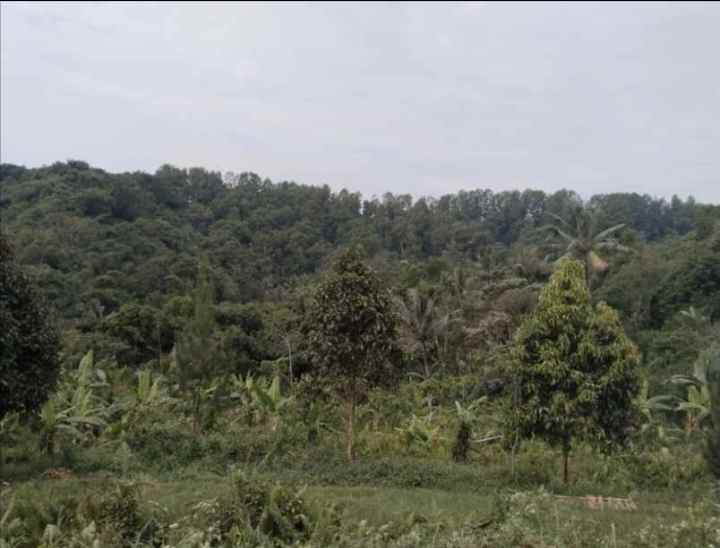 tanah sumber mata air panas saglaherang subang