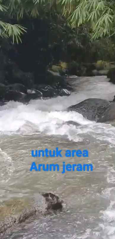 tanah sumber mata air panas subang jawa barat