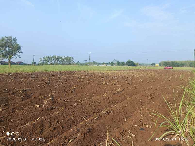 tanah surajaya pemalang jawa tengah