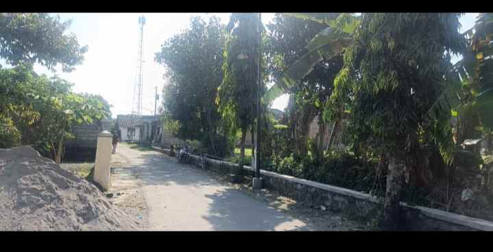 tanah tegal dekat jalan utama desa