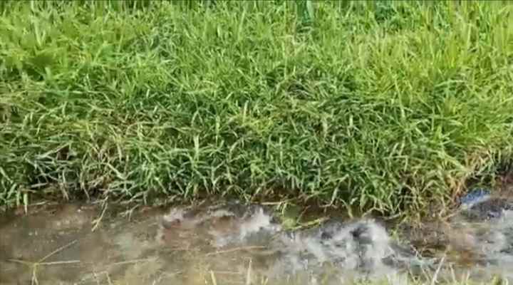 tanah view cakep dekat objek wisata ciater