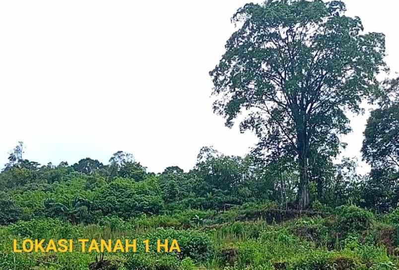 tanah view kota medan bukit bandar baru