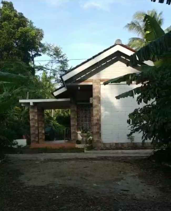 villa pinggir jalan murah view sawah dan gunung karang