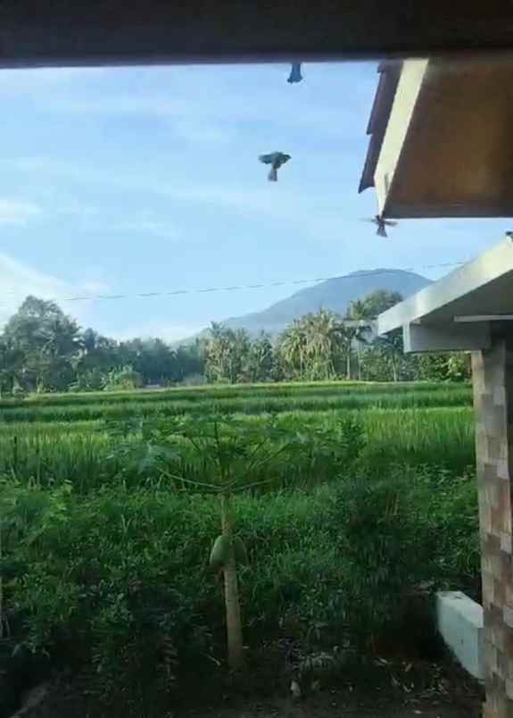 villa pinggir jalan murah view sawah dan gunung karang