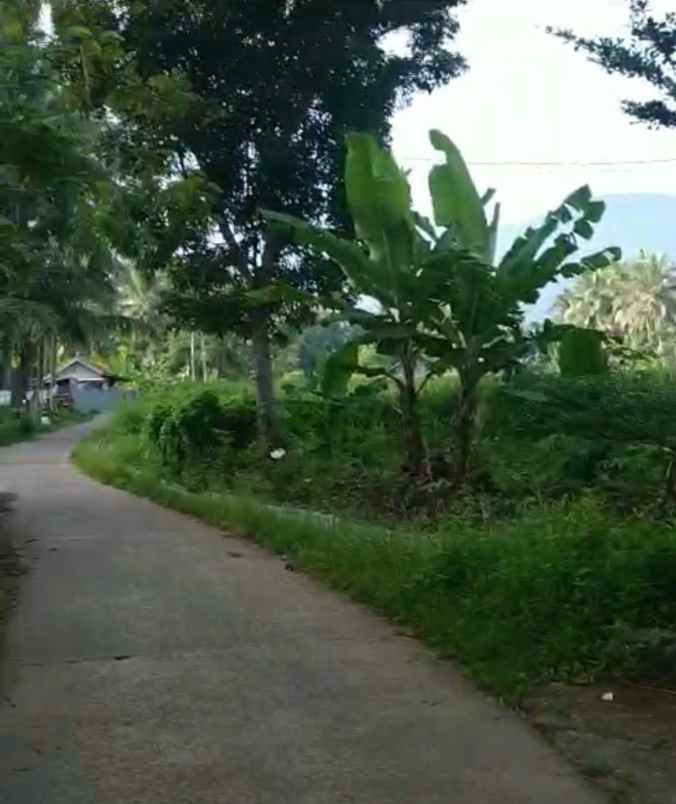 villa pinggir jalan murah view sawah dan gunung karang