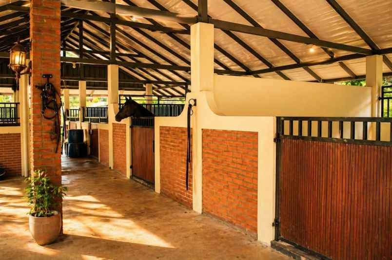 villa resort mewah di cibungbulang dekat ipb bogor