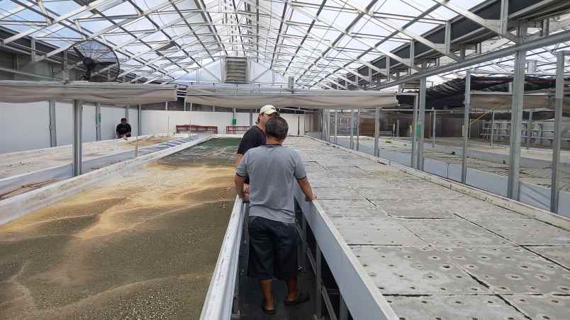 workshop greenhouse siap pakai di rawalumbu bekasi