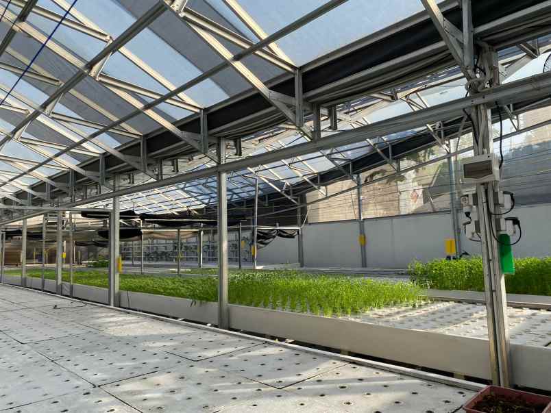 workshop greenhouse siap pakai di rawalumbu bekasi