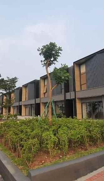 canyon at pasadena grand duta bekasi utara4