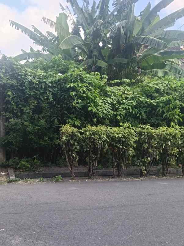 dijual 3 28 are jl katalia cokroaminoto ubung denpasar