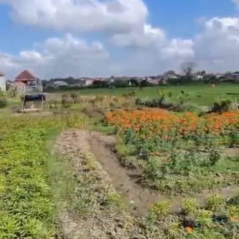 dijual 79 01 are jl astasura vi nangka utara denpasar