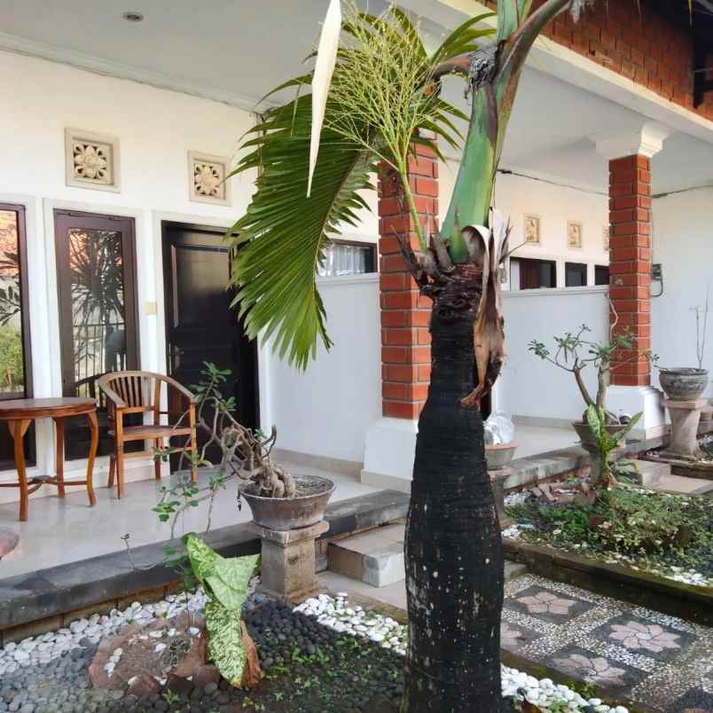 dijual guesthouse full furnished di kawasan sanur bali