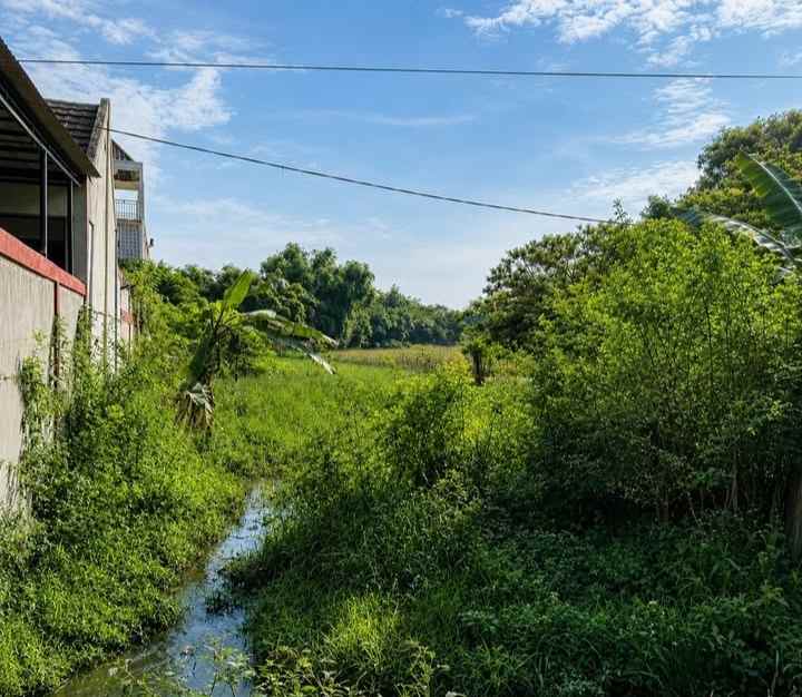 dijual lahan emas cikampek karawang jawa barat