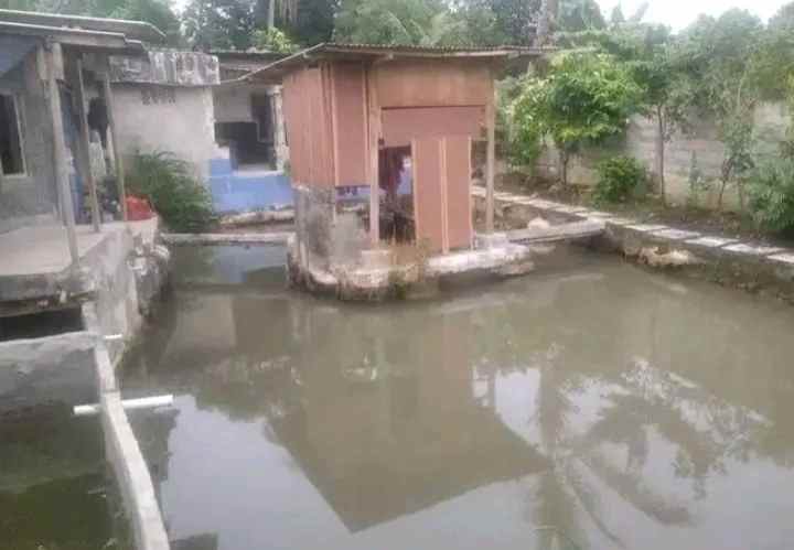 dijual rumah ciseeng putat nutug