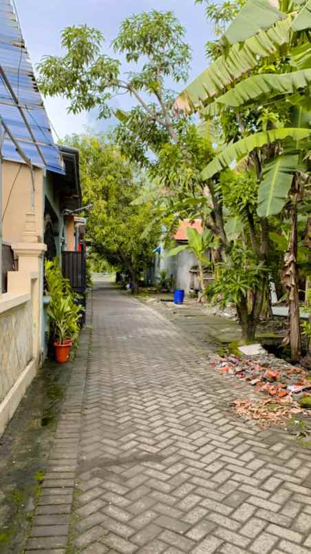 dijual rumah daerah gedangan sidoarjo dekat surabaya