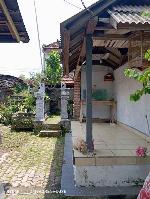 dijual rumah denpasar utara bali