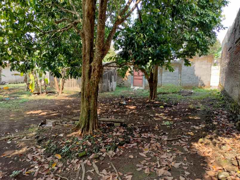 dijual rumah dijual rumah di patemon rt