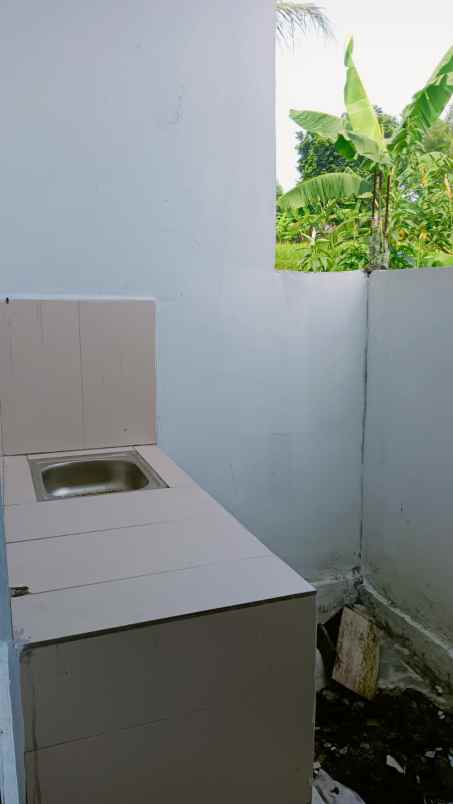 dijual rumah jalan pulo pisang desa