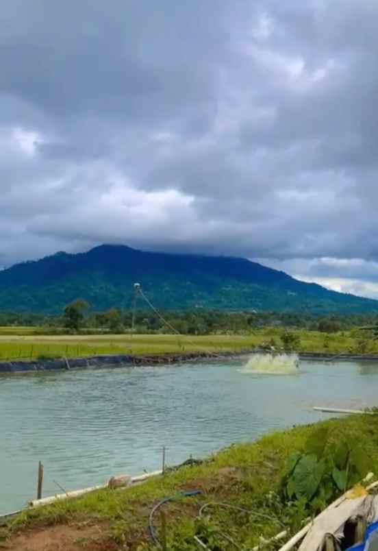 dijual rumah jalan raya mandalawangi