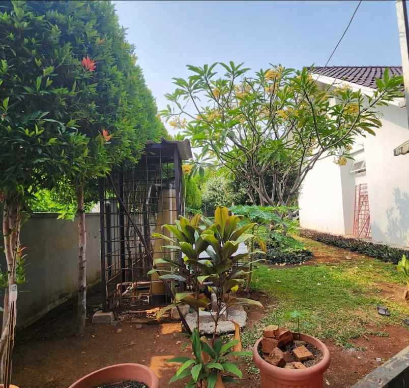 dijual rumah kayu putih pulo mas