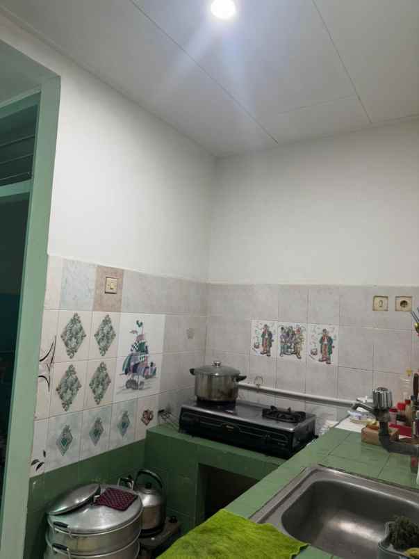 dijual rumah kelapa cengkir kelapa