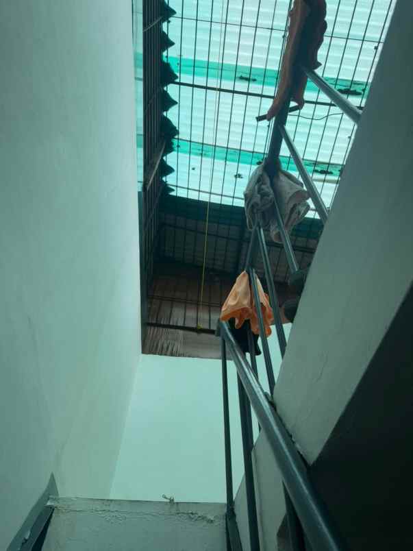 dijual rumah kelapa cengkir kelapa