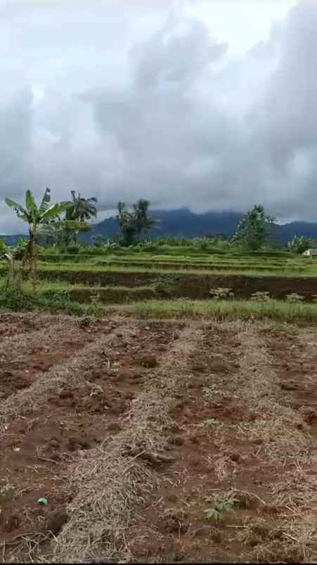 dijual tanah 2 ha si parak n salak sukabumi jawa barat