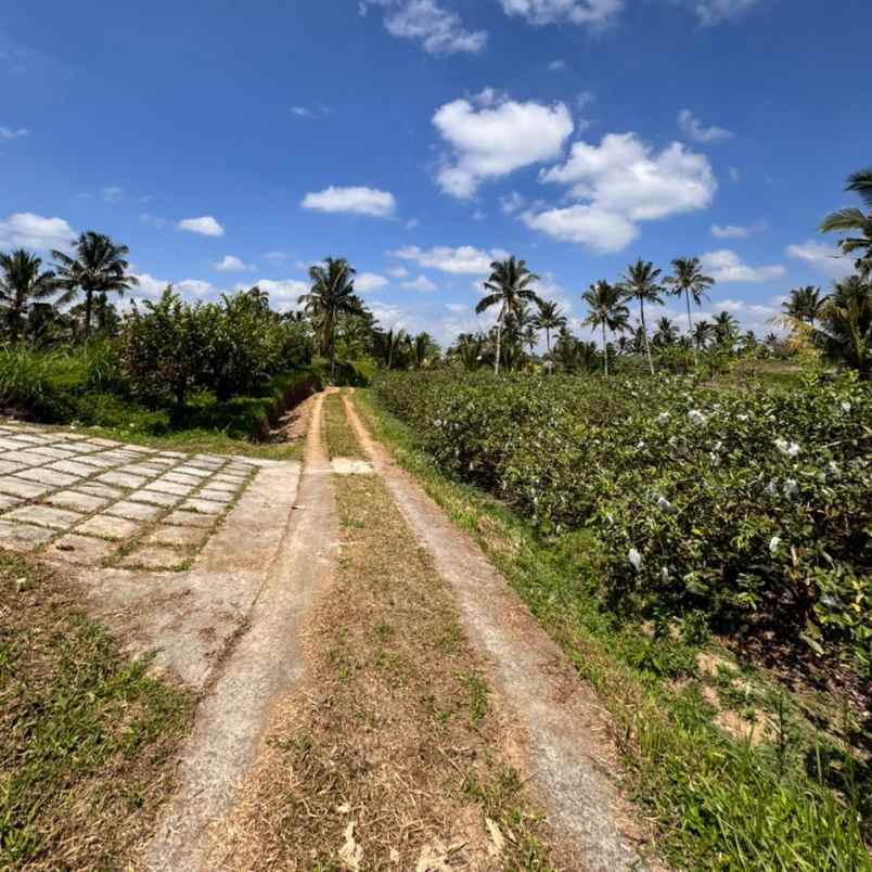 dijual tanah apuan