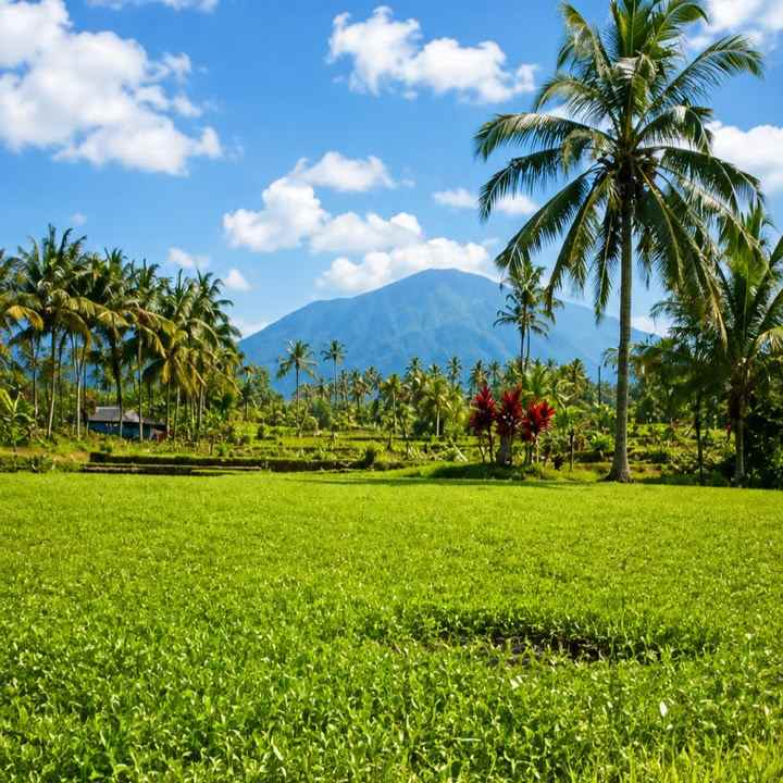 dijual tanah apuan
