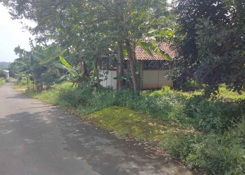 dijual tanah bandorasa kec cilimus kuningan