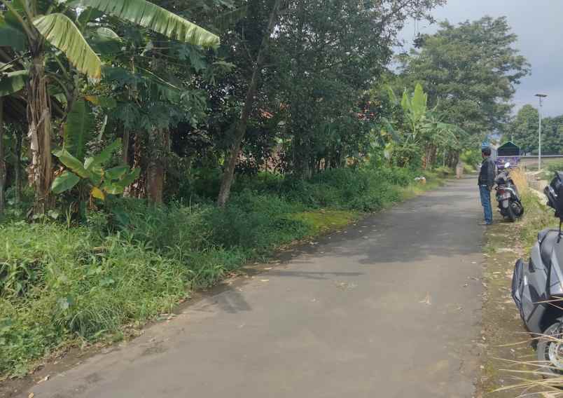 dijual tanah bandorasa kec cilimus kuningan