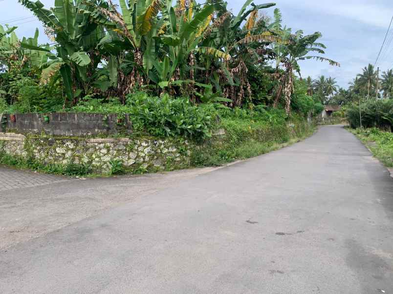 dijual tanah beneran purwobinangun