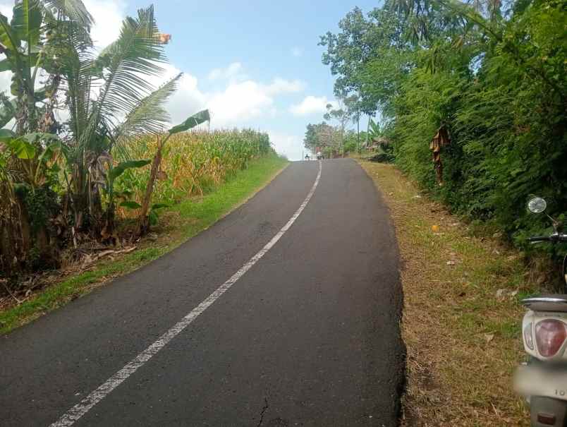 dijual tanah beraban selemadeg timur