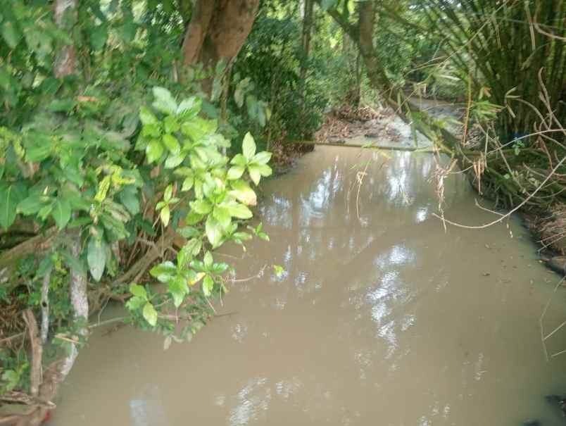 dijual tanah beraban selemadeg timur