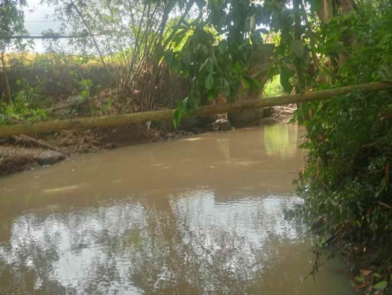 dijual tanah beraban selemadeg timur