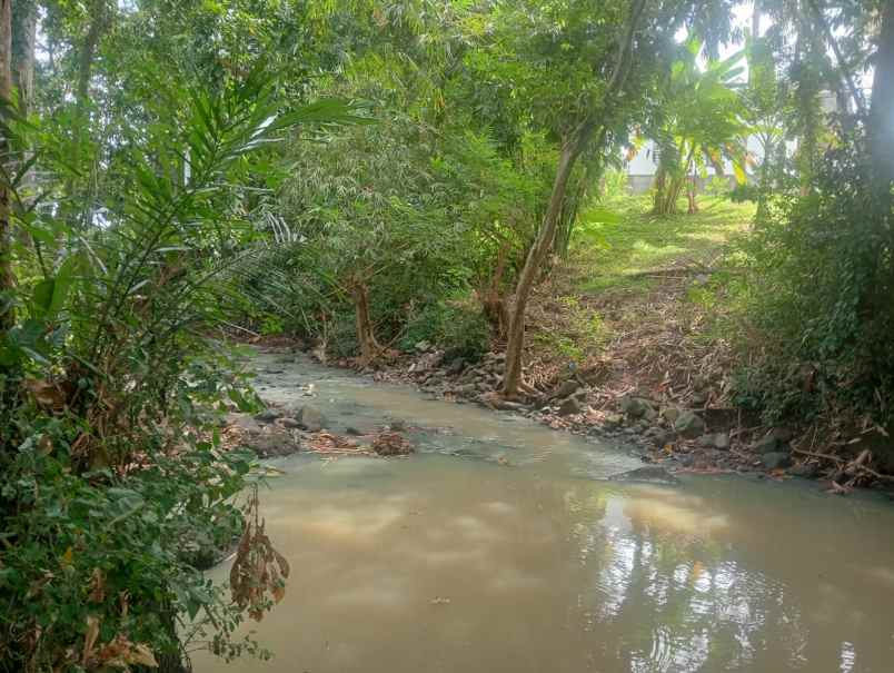 dijual tanah beraban selemadeg timur
