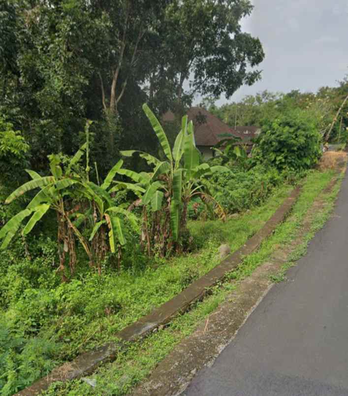 dijual tanah beraban tabanan bali