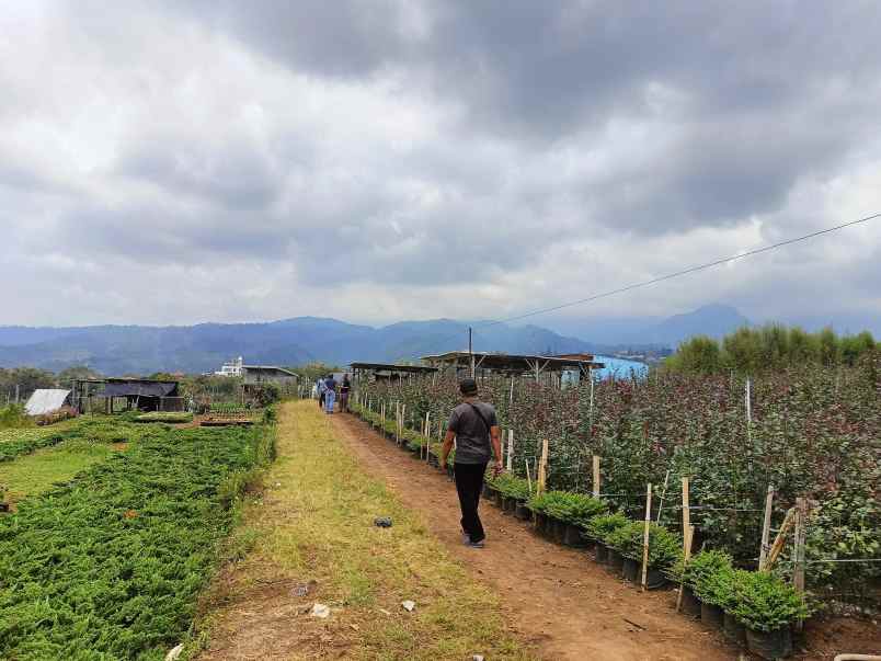 dijual tanah bulukerto kec bumiaji kota