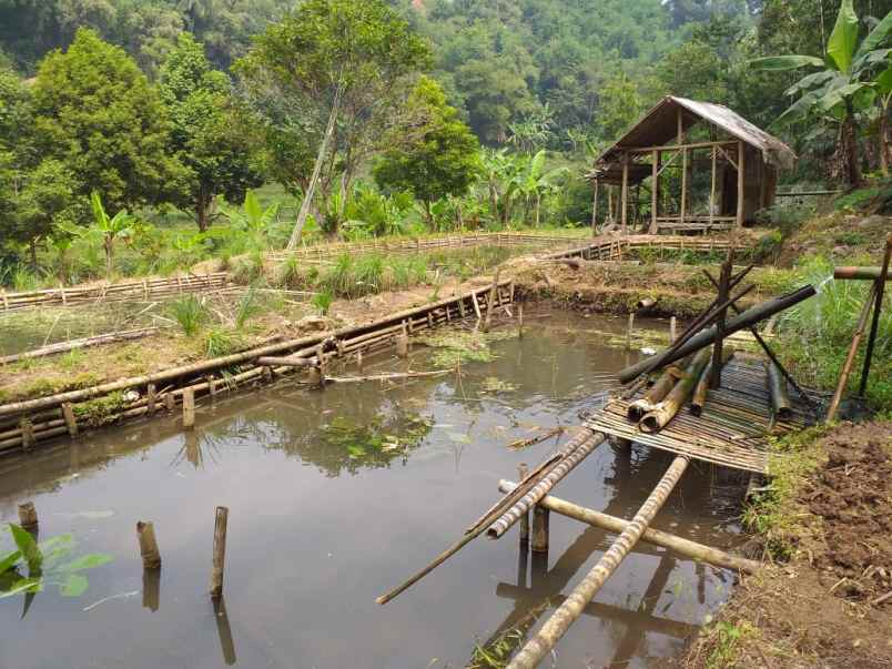 dijual tanah bunu titi cugenang cianjur jawa barat