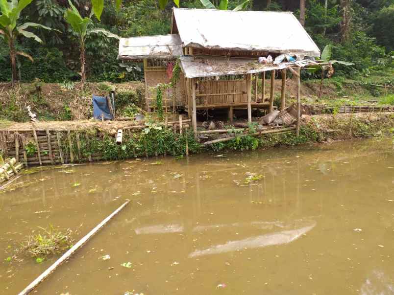 dijual tanah bunu titi cugenang cianjur jawa barat