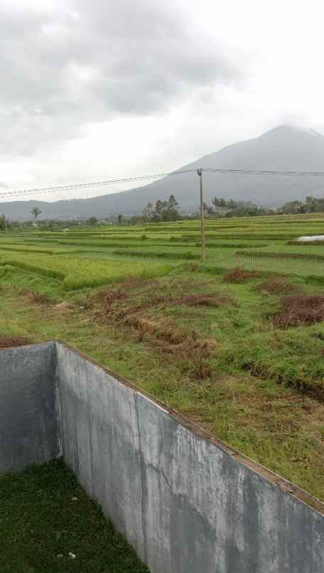 dijual tanah cibunar