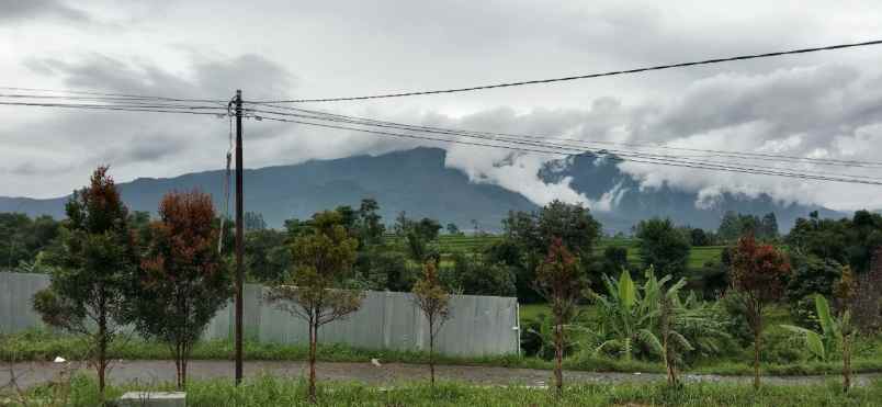 dijual tanah cibunar