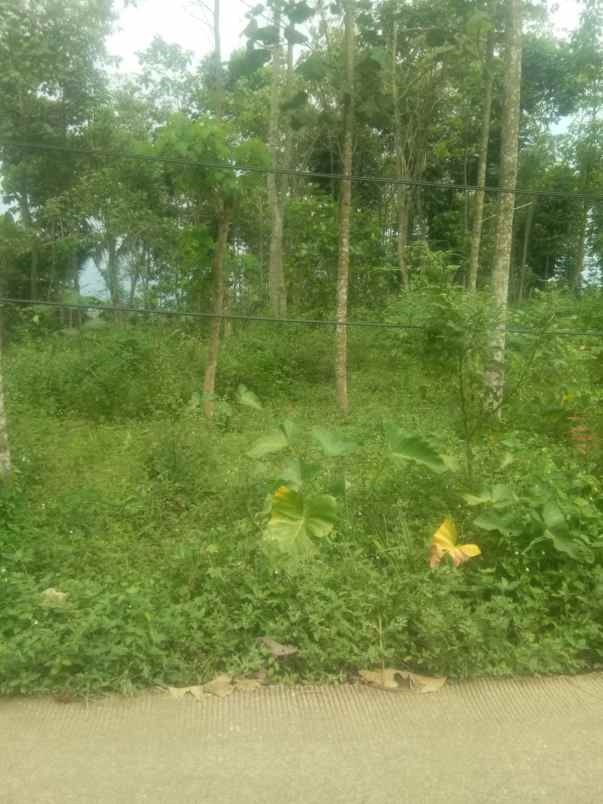 dijual tanah ciptaharja