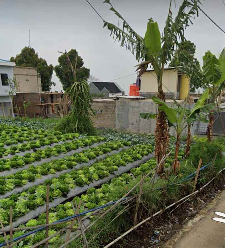 dijual tanah daerah wangunsari lembang