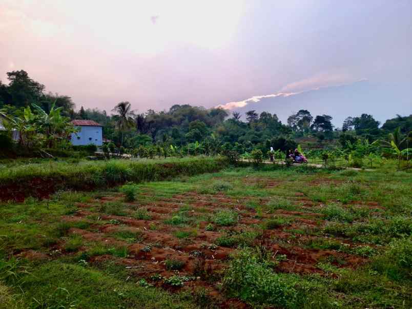 dijual tanah darangdan