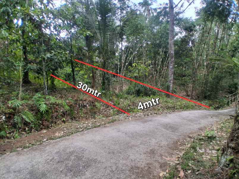 dijual tanah desa antosari kec