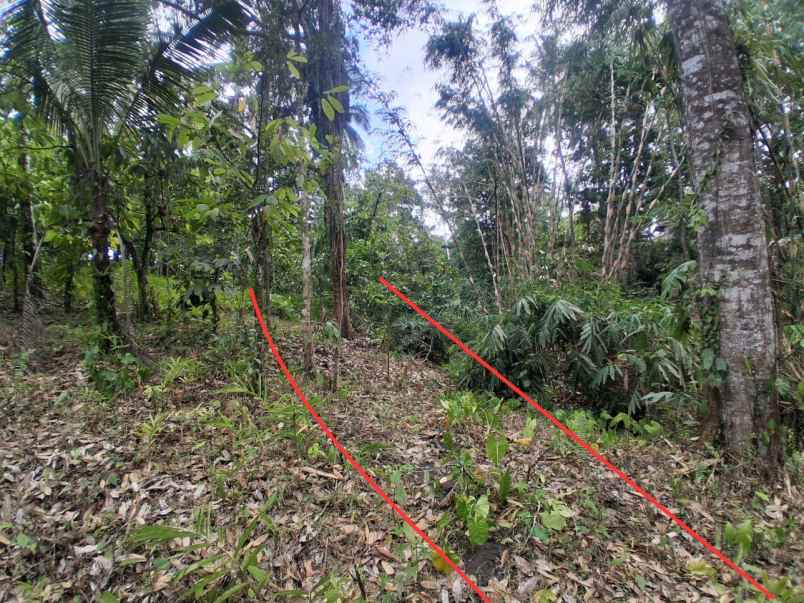 dijual tanah desa antosari kec