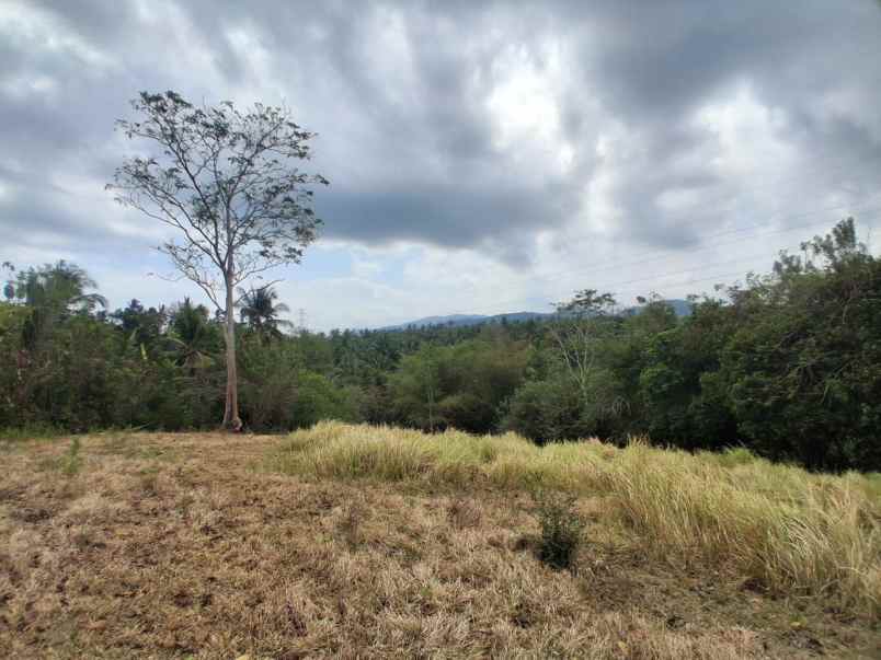 dijual tanah desa bengkel sari